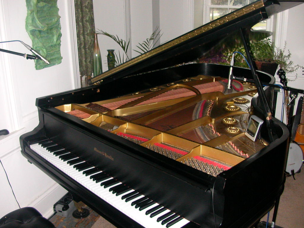 Được tiếp xúc với piano acoustic sớm là lợi thế cho người mới tập chơi