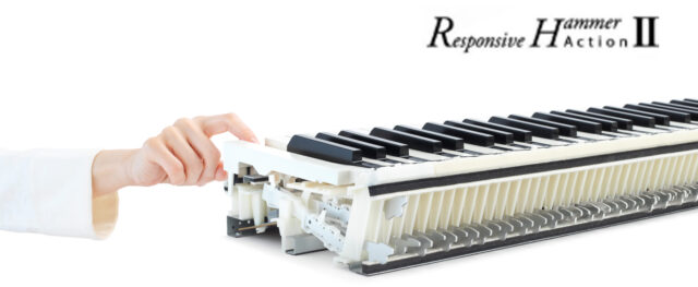 Hệ Phím Kawai RH II