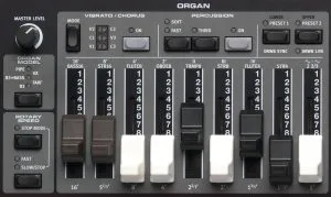 E5-OrganSection