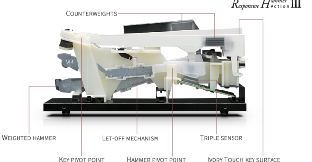 Bàn Phím RH3 của Korg