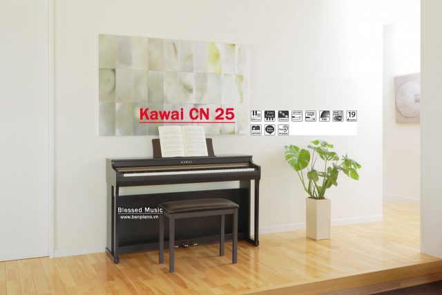 Kawai CN 25