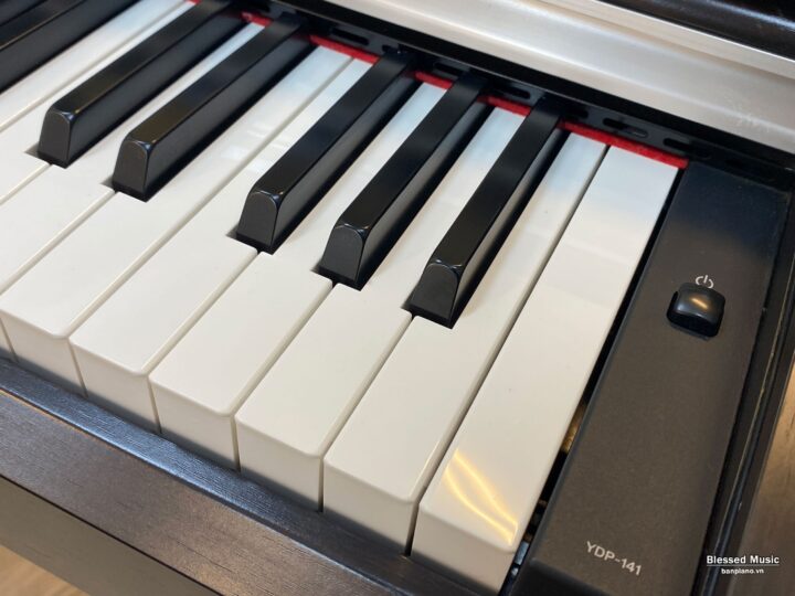 Đàn Piano Yamaha YDP 141R