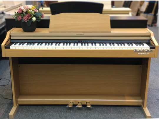 Đàn Roland RP 501R