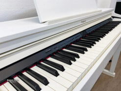 Đàn Piano Roland HP 504 W