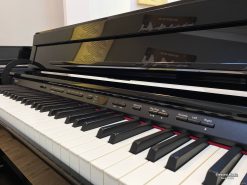 Đàn Piano Roland DP990RF