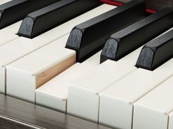 đàn piano Yamaha CLP 645
