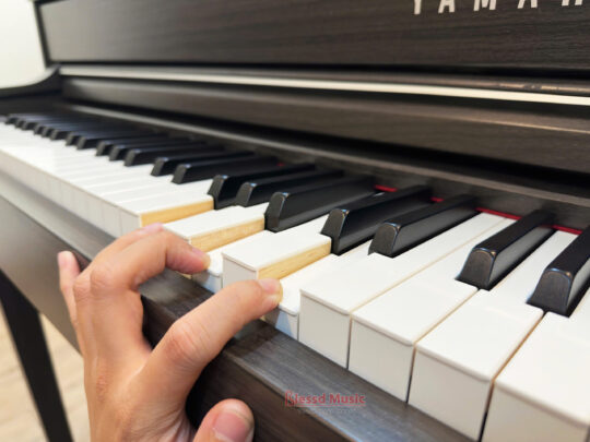 Đàn Yamaha CLP 645 DW