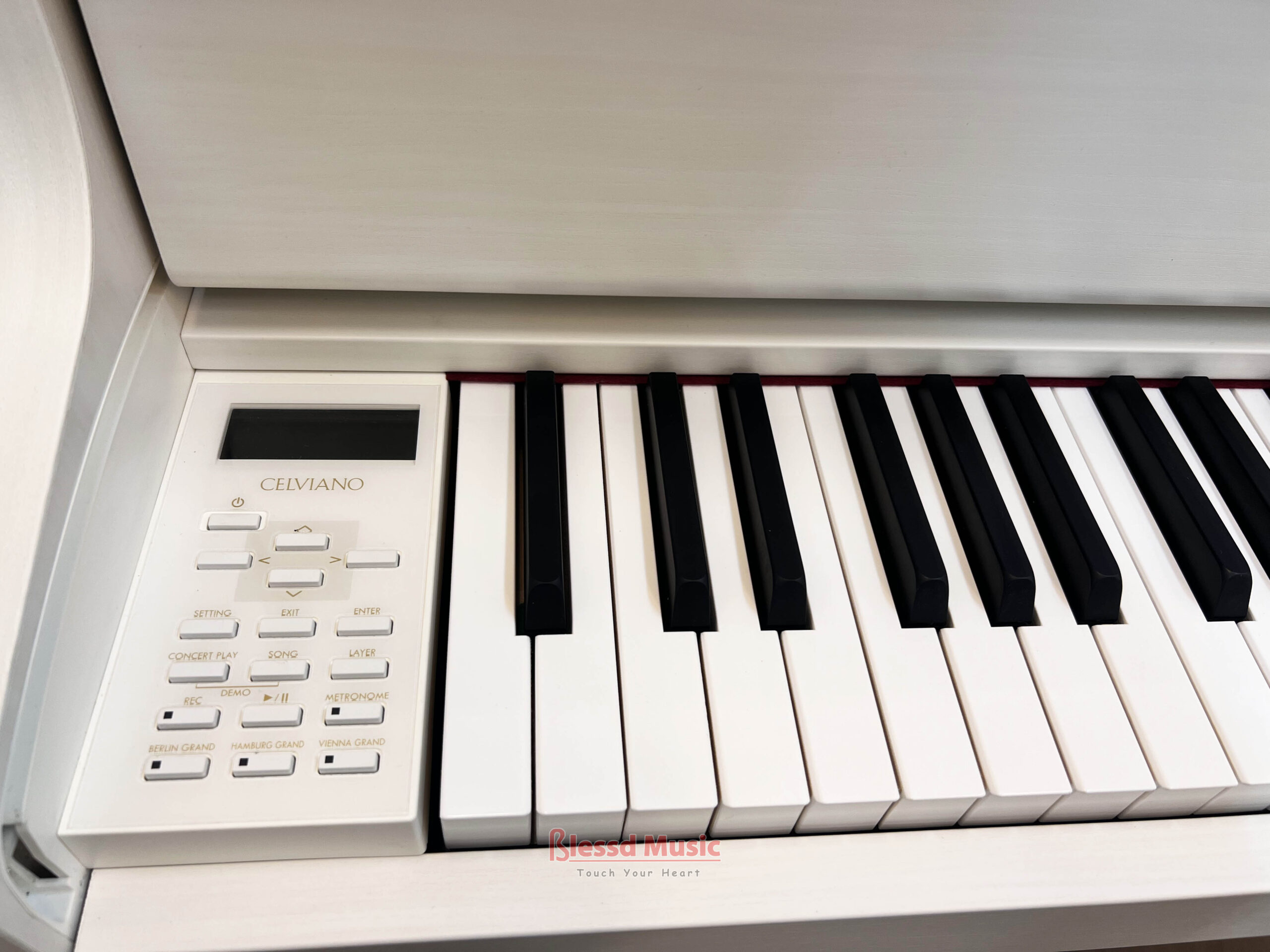 Đàn Casio GP-310WE
