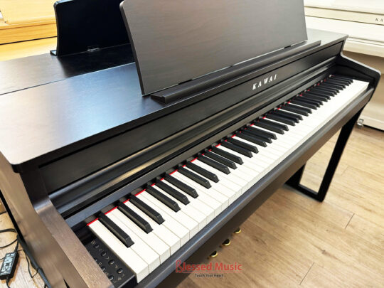 Đàn Piano điện Kawai CA 49R