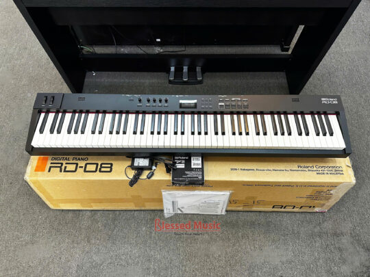 Đàn Piano điện Roland RD 08