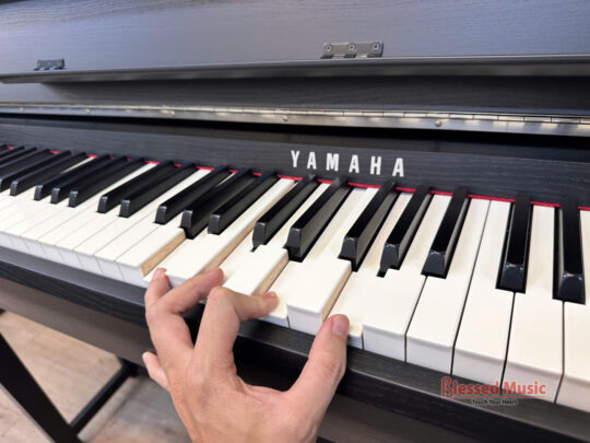 Đàn Piano điện Yamaha clp 785B