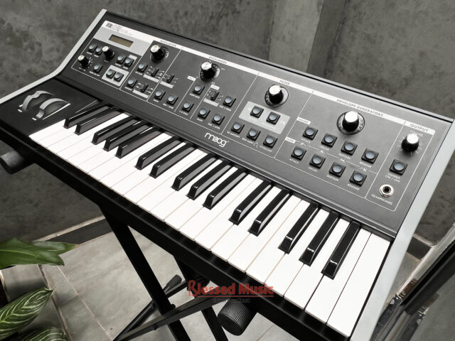 Moog Little Phatty