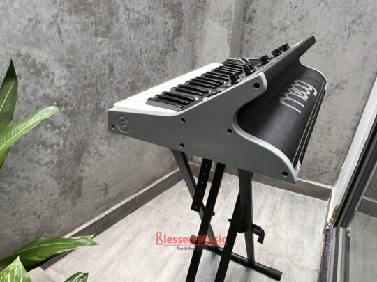Moog Little Phatty Stage II