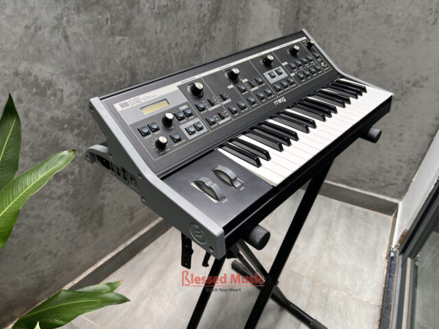 Moog Little Phatty