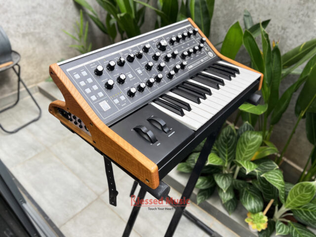 Moog Subsequent 25