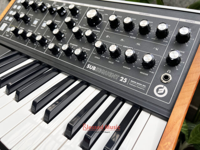 Moog Subsequent 25