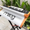 Moog Subsequent 25