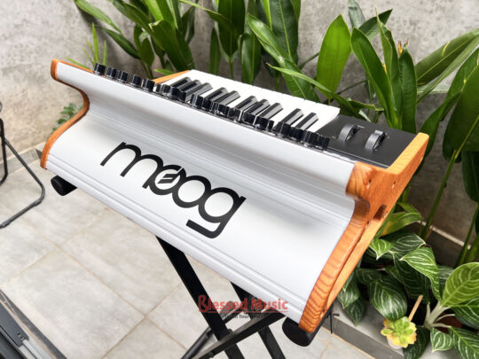 Moog Subsequent 25