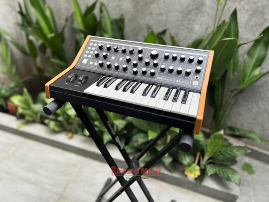Moog Subsequent 25