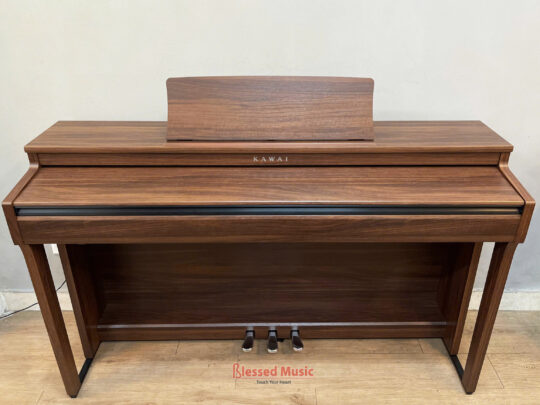 Kawai CN 201 MW