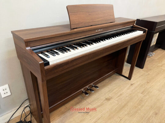 Kawai CN 201 MW