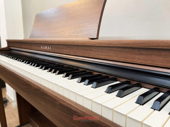 Kawai CN 201 MW