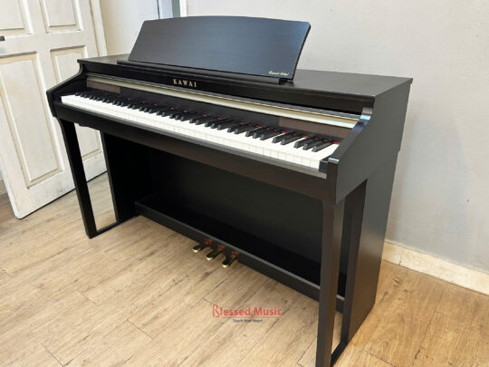 Đàn Kawai CA49 R