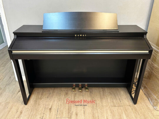 Đàn Kawai CA49 R