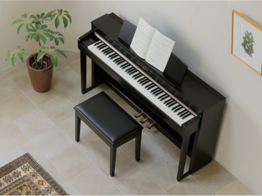 Đàn Piano điện Kawai CN37R
