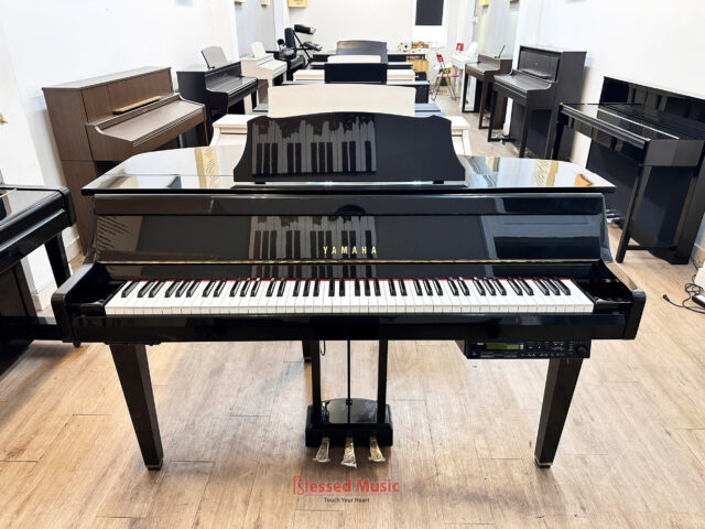 Yamaha DGP 2XG