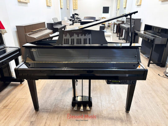 Yamaha DGP 2XG
