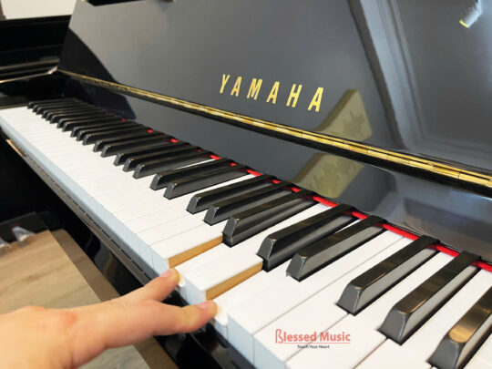 Yamaha DGP 2XG