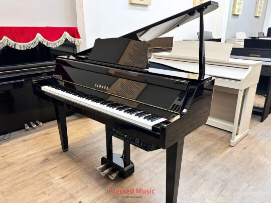 Yamaha DGP 2XG