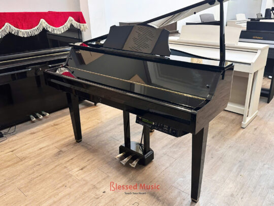 Yamaha DGP 2XG