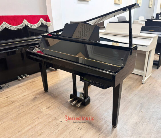 Yamaha DGP 2XG