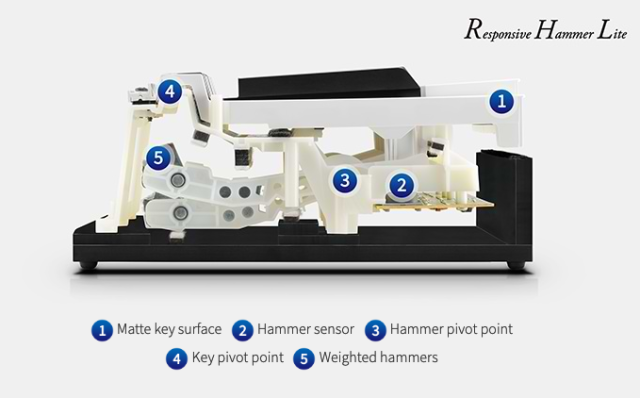Bàn phím RHL của Kawai